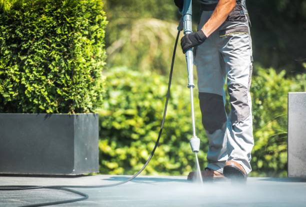 Best Gutter Cleaning  in Mayville, MI